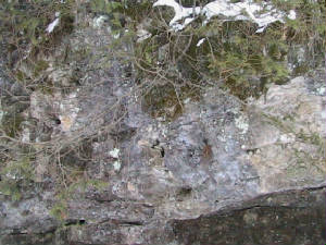 BlueRockCloseup.JPG